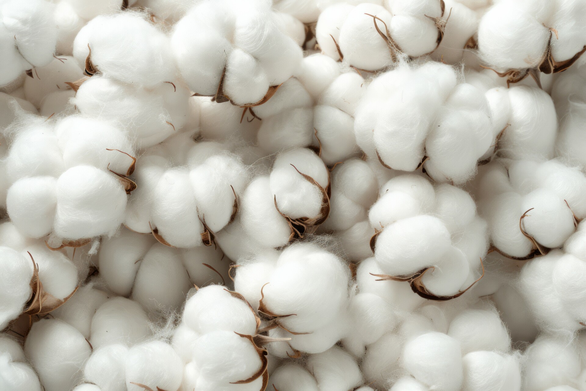 impression textile sur coton bio à Nantes