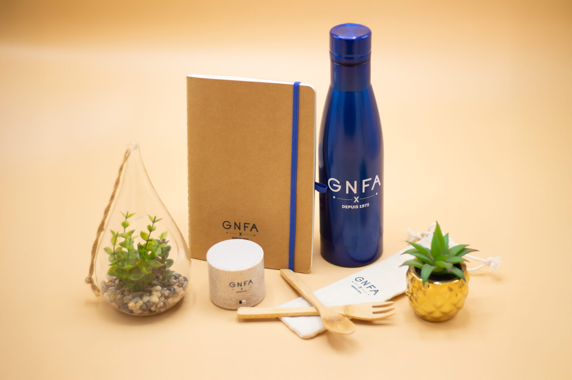 Pack-Goodies-GNFA